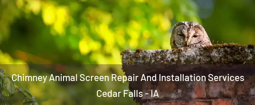  Chimney Animal Screen Repair And Installation Services Cedar Falls - IA