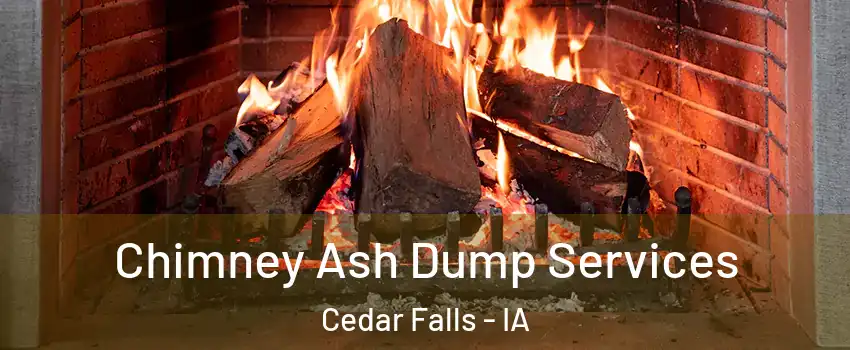  Chimney Ash Dump Services Cedar Falls - IA