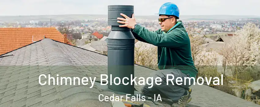  Chimney Blockage Removal Cedar Falls - IA