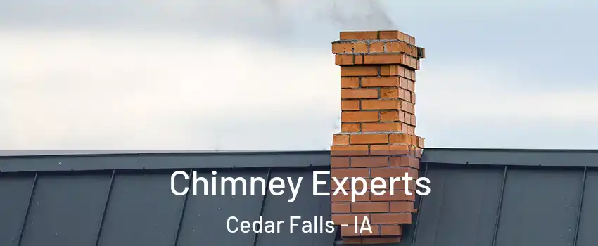 Chimney Experts Cedar Falls - IA