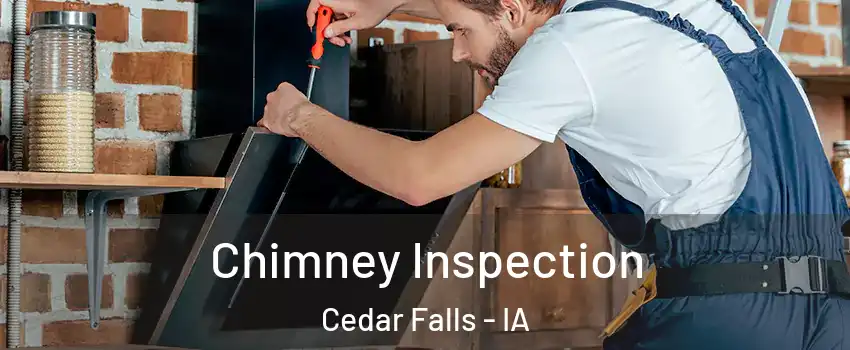  Chimney Inspection Cedar Falls - IA