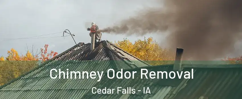  Chimney Odor Removal Cedar Falls - IA