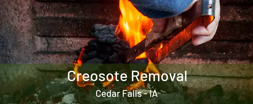  Creosote Removal Cedar Falls - IA