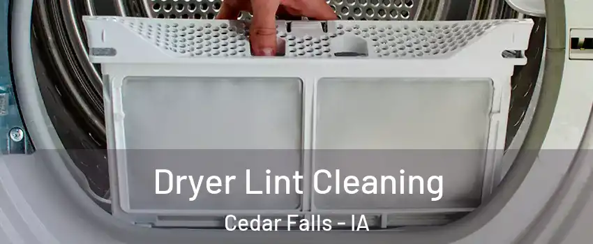  Dryer Lint Cleaning Cedar Falls - IA