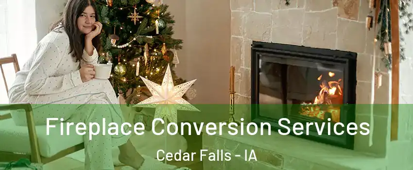  Fireplace Conversion Services Cedar Falls - IA