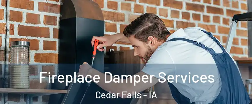  Fireplace Damper Services Cedar Falls - IA