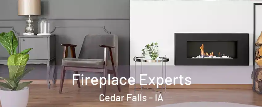 Fireplace Experts Cedar Falls - IA