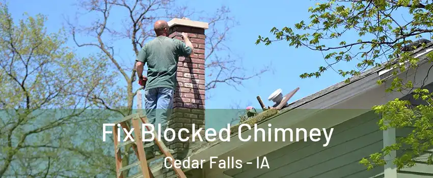  Fix Blocked Chimney Cedar Falls - IA
