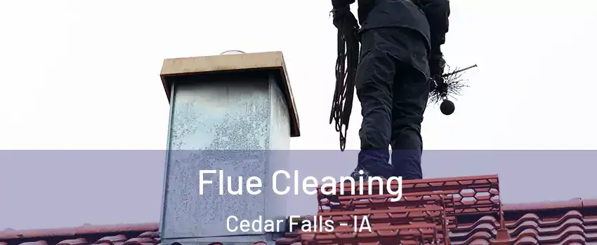  Flue Cleaning Cedar Falls - IA