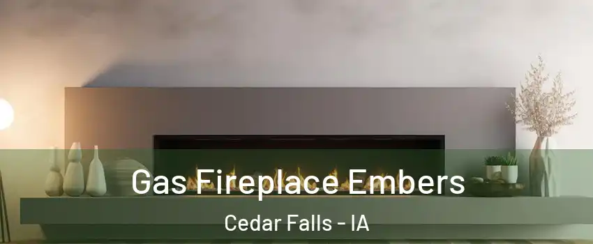  Gas Fireplace Embers Cedar Falls - IA