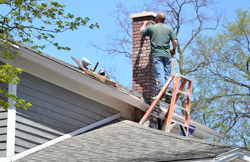 Chimney & Fireplace Inspections Services in Cedar Falls, IA