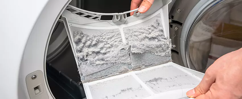 Best Dryer Lint Removal Company in Cedar Falls, Iowa