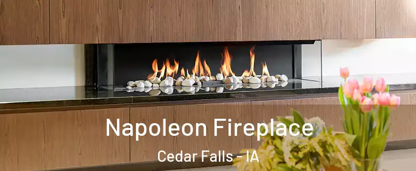  Napoleon Fireplace Cedar Falls - IA